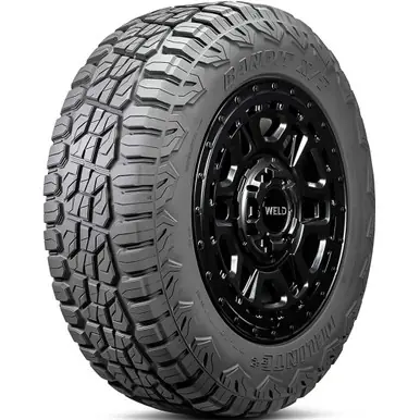 Editor’s Pick Delinte DX-20 Bandit X/T 215/55R18 99V