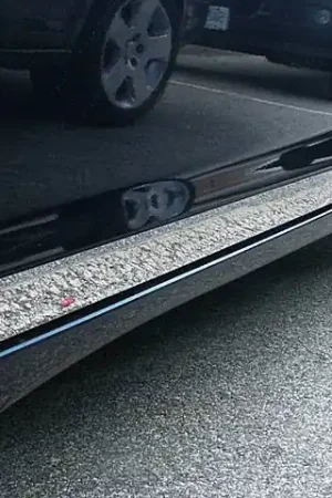 Same Day Shipping SATURN AURA 4dr QAA Stainless 8pcs Rocker Panel Trim TH47415