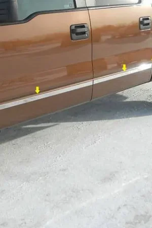 Modern F-150 Crew Cab, 5.5' Bed, NO Flares QAA Stainless Molding Insert MI49316