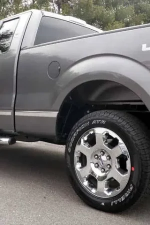 FORD F-150 2dr QAA Stainless 10pcs Molding Insert MI49310 Buy Direct