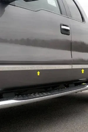 F-150 Super Cab, 8' Bed, W/ FLARES QAA Stainless Molding Insert MI49313 Budget