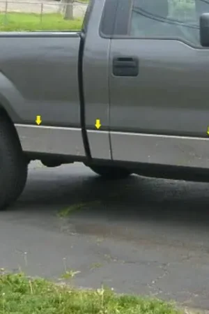 Affordable FORD F-150 2dr QAA Stainless 10pcs Rocker Panel Trim TH49308