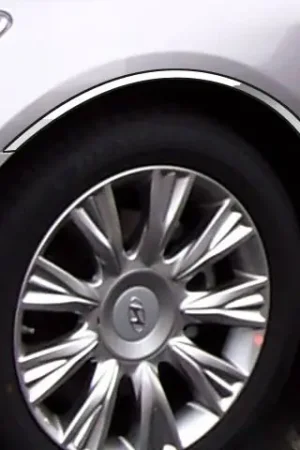 While Supplies Last Fits Hyundai GENESIS 4dr QAA Stainless 4pcs Wheel Well Accent WQ29345