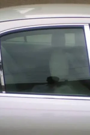 Viral MITSUBISHI GALANT 4dr QAA Stainless 6pcs Pillar Trim PP29002