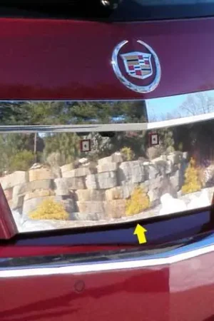 Exclusive CTS SPORT WAGON 4dr QAA Stainless 1pcs License Plate Bezel LP50251