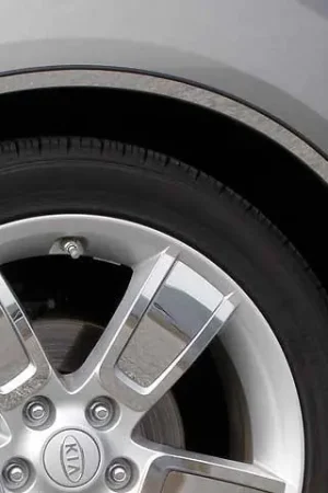 KIA SOUL 4dr QAA Stainless 4pcs Wheel Well Accent WQ10830 Exclusive Offer