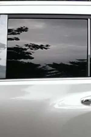 Last Chance LEXUS GX460 4dr QAA Stainless 8pcs Pillar Trim PP10124