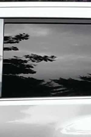 LEXUS GX460 4dr QAA Stainless 6pcs Pillar Trim PP10123 Weekend Sale