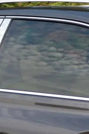 Professional Grade LEXUS RX450 4dr QAA Stainless 6pcs Pillar Trim PP10126