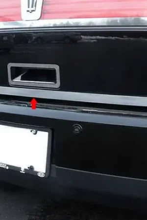 LINCOLN MKX 4dr QAA Stainless 1pcs Rear Deck Accent RD47610 Instant Buy