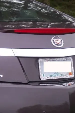 Bulk Order CADILLAC CTS COUPE 2dr QAA Stainless 2pcs License Plate Bar Accent LB50254