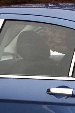 CHRYSLER 200 4dr QAA Stainless 8pcs Pillar Trim PP47782 Latest