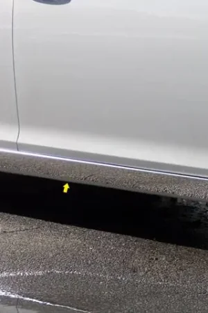 CHRYSLER 300 4dr QAA Stainless 4pcs Rocker Panel Trim TH51761 Free Delivery