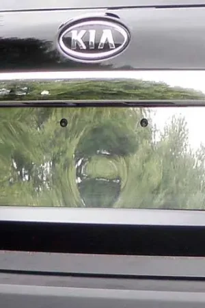 KIA SORENTO 4dr QAA Stainless 1pcs License Plate Bezel LP11820 No Minimum Order