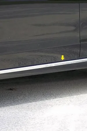 Fits Nissan ALTIMA 4dr QAA Stainless 2pcs Rocker Panel Trim TH13551 Price Drop