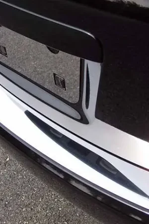 Fits Nissan ROGUE SELECT 4dr QAA Stainless 1pcs Rear Bumper Accent RB28535 Best Choice