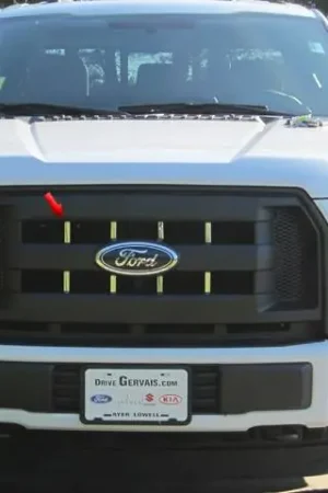 FORD F-150 2/4dr QAA Stainless 8pcs Grille Accent SG55308 Free Returns