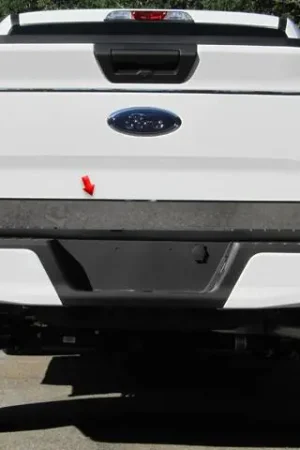 FORD F-150 2/4dr QAA Stainless 1pcs Tailgate Accent RT55308 Low Price