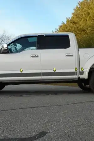 FORD F-150 Crew Cab, 5.5 bed QAA Stainless 12pcs Rocker Panel Trim TH55317 Latest