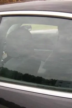 CHEVROLET MALIBU LIMITED 4dr QAA Stainless 6pcs Pillar Trim PP53106 In Demand