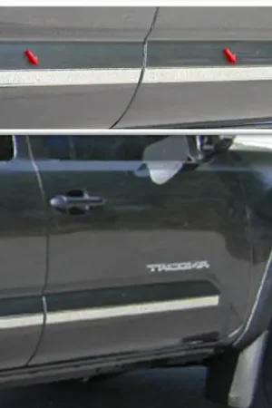 TOYOTA TACOMA Access Cab, 5' Bed QAA Stainless 4pcs Molding Insert MI16173 Handmade