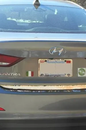 Fits Hyundai ELANTRA 4dr QAA Stainless 1pcs Rear Deck Accent RD17340 Holiday Sale