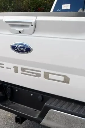 Same Day Shipping FORD F-150 2/4dr QAA Stainless 5pcs Graphic/Logo/emblem SGR58308