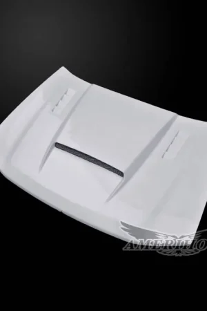 Professional Grade Chevrolet Trailblazer SMS-Style AmeriHood Ram Air Hood CTB02AHSMSFHW