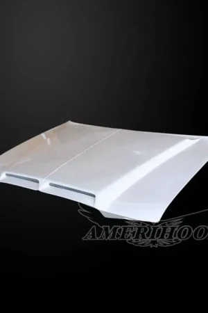 Chrysler 300 E-Style AmeriHood Ram Air Hood C305AHTEFHW Get Yours