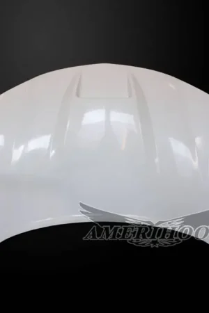 Warranty Included Dodge Charger SRT-Style AmeriHood Ram Air Hood DC06AHSRTFHW