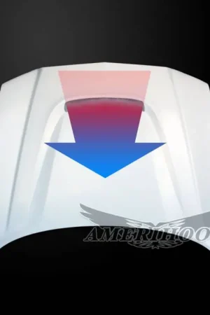 Dodge Charger SRT8 AmeriHood Heat Extracting Hood DC11AHSRT8FHW Limited Edition