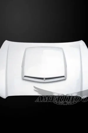 Low Price Dodge Charger TA-Style AmeriHood Ram Air Hood DC11AHTAFH
