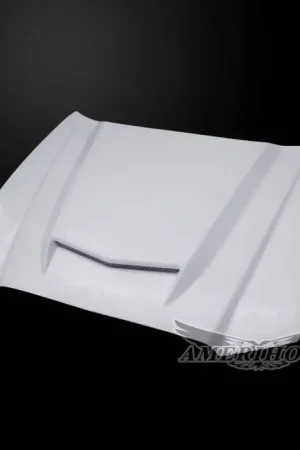 Buy Today Dodge Charger RS-Style AmeriHood Ram Air Hood DC11AHRSSFHW