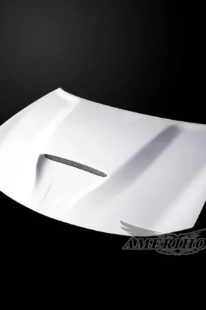 Dodge Charger SRT-Style AmeriHood Ram Air Hood DC15AHSRTFHW Sale
