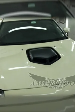 Super Sale Dodge Magnum Shaker-Style AmeriHood Ram Air Hood DM05AHSHKFH