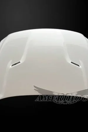 Direct From Factory Dodge Ram 1501 SRT AmeriHood Ram Air Hood DR19AHCLGFHWCLASSIC