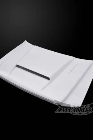 Viral Ford F-150 SMS-Style AmeriHood Ram Air Hood F1504AHSMSFHW