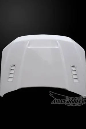 Latest Ford F-150 SSK-Style AmeriHood Ram Air Hood F1515AHSSKFHW