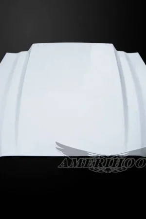 Ford Mustang 3" Cowl AmeriHood Hood FM10AHCWLFHW500 Order Now