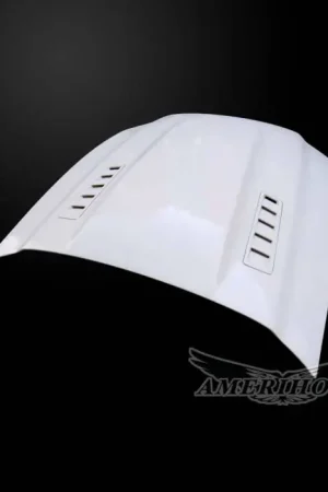 Ford Mustang SMS-Style AmeriHood Ram Air Hood FM13AHSMSFHW Latest