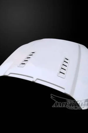 Certified Ford Mustang SSE-Style AmeriHood Ram Air Hood FM15AHSSEFHW