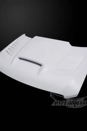 Today Only Nissan Titan SSK-Style AmeriHood Ram Air Hood NT16AHSSKFHWXD
