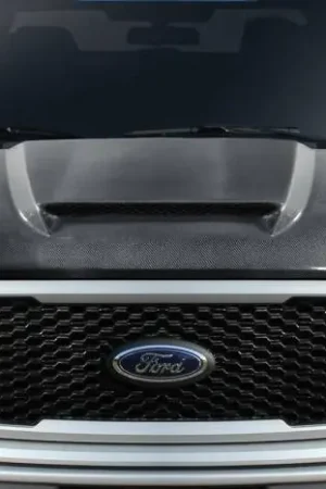 Shop Now Ford F150 CVX Carbon Fiber Creations Body Kit- Hood 115896