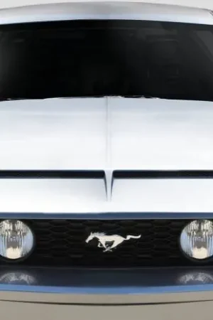 Hot Deal Ford Mustang GT500 V4 Duraflex Body Kit- Hood 115791