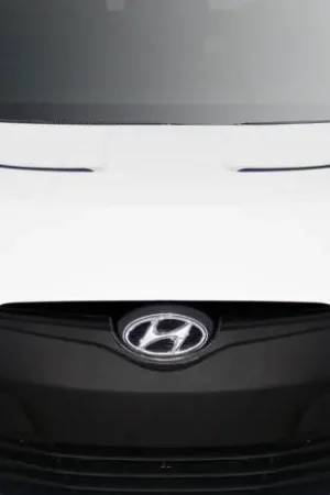 Hyundai Veloster Raptor Duraflex Body Kit- Eye Lids 116656 Latest