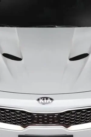 Kia Stinger 4DR Executive Duraflex Body Kit- Hood 116725 Latest