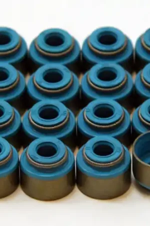 Buy Today GSC P-D Subaru EJ257/EJ207/EJ205 Viton 6mm Valve Stem Seal Set