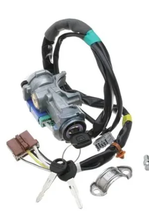Ignition Lock Assembly Holiday Sale