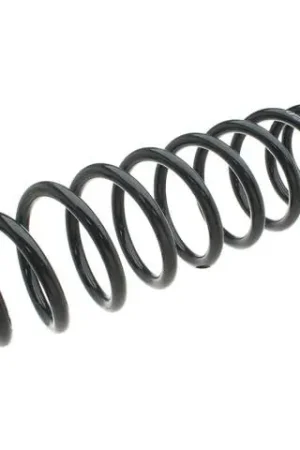 Coil Spring Budget