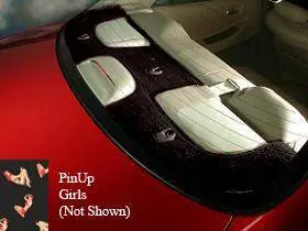 Free Delivery Interior Trim Kit